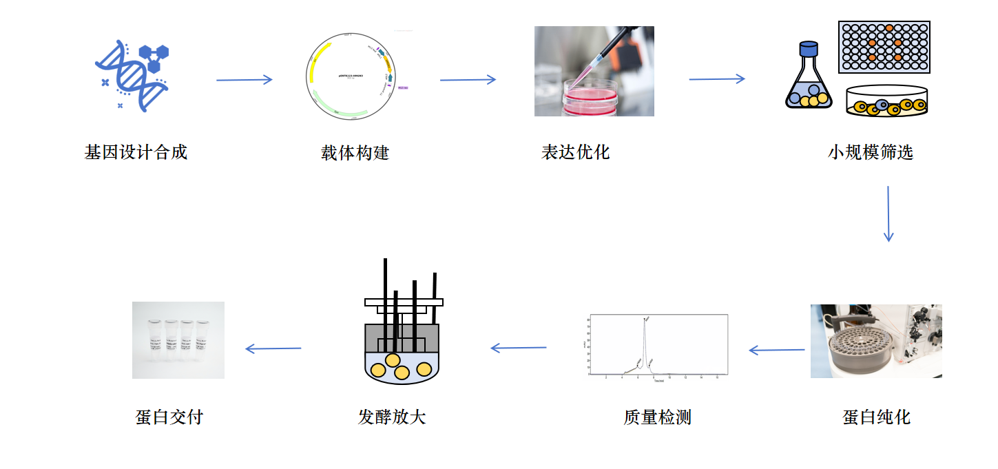 上海生物技术产业的最新发展
