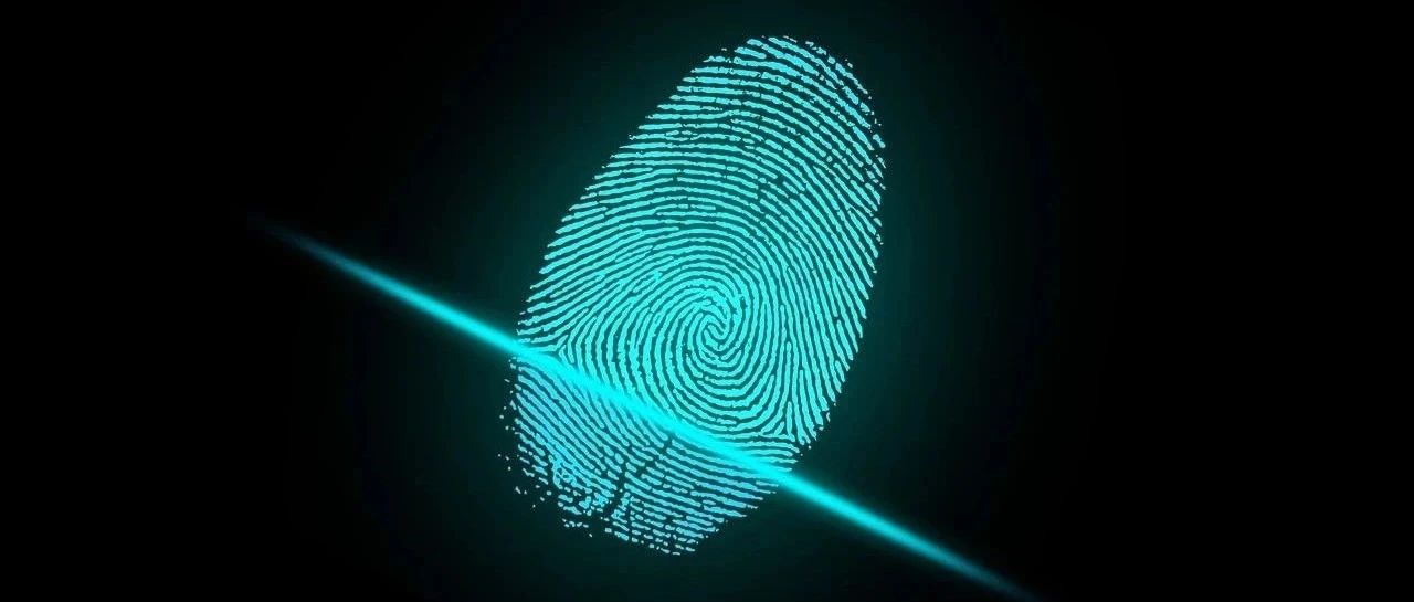 全球监管趋严，企业出海安全合规如何“避坑”？