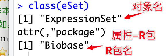 下载基因芯片数据后修改为对象