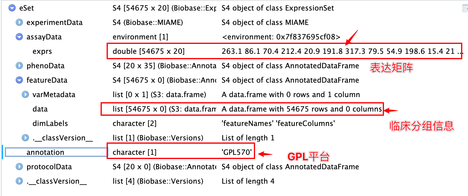 基因芯片对象里包含的内容