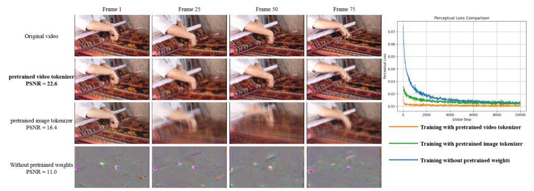 图 2:预训练权重对重建和收敛的影响。左侧子图显示了在未进行微调的情况下使用不同预训练权重重建的帧。加载连续视频标记符的权重能达到最佳效果。右侧子图显示,使用预训练视频标记器进行训练的收敛速度明显快于其他两种策略。