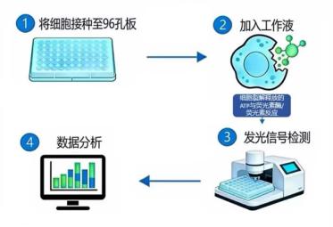 图1. E-BC-F200实验步骤图