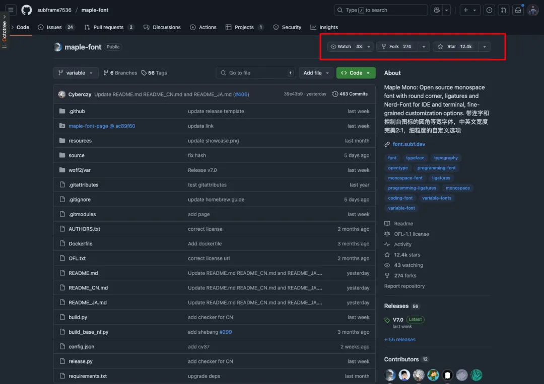 Maple Mono 字体封面