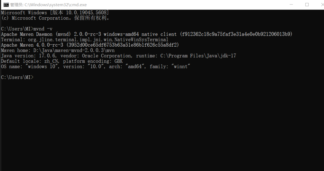 mvnd -v 输出效果