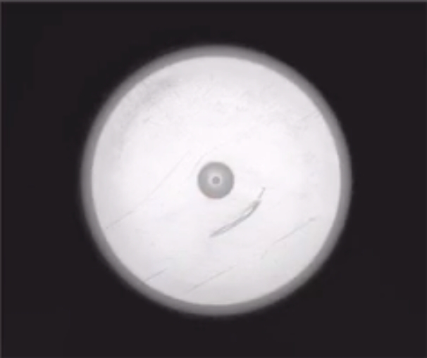 塑料瓶盖同轴光成像