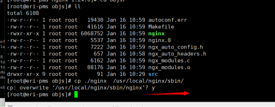 输入 cp ./nginx /usr/local/nginx/sbin/