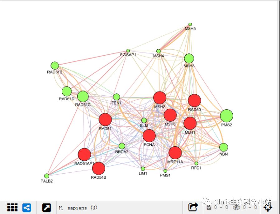  ppi cytoscape genemania 