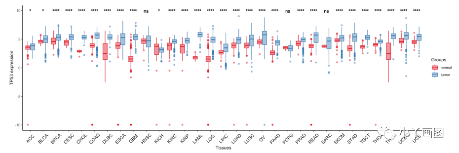 纯ggplot2版｜对比基因在33种癌症和GTEx对照中的表达量