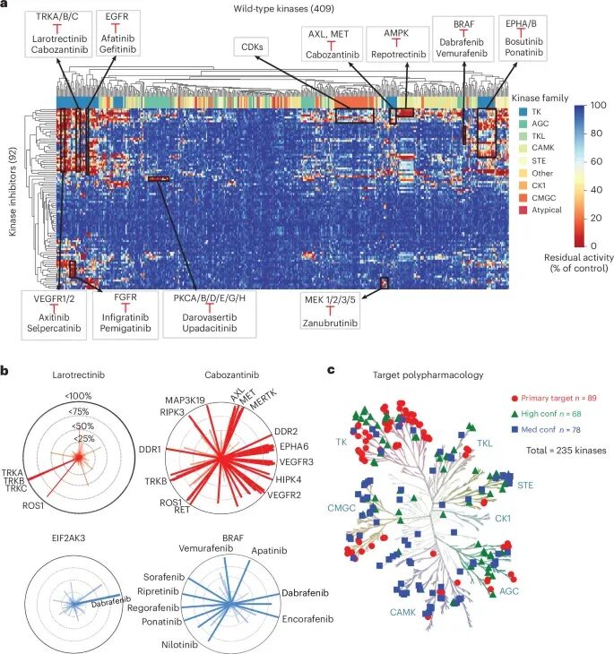 92个临床激酶抑制剂在409个野生型激酶上的抑制谱，以及从89个主靶点扩展到235个可抑制激酶的整体结果。