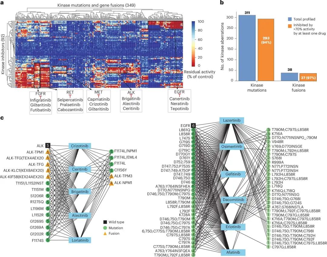 92个临床激酶抑制剂对349个突变和融合激酶变体的抑制谱，显示出明显的 variant-specific drug selectivity。