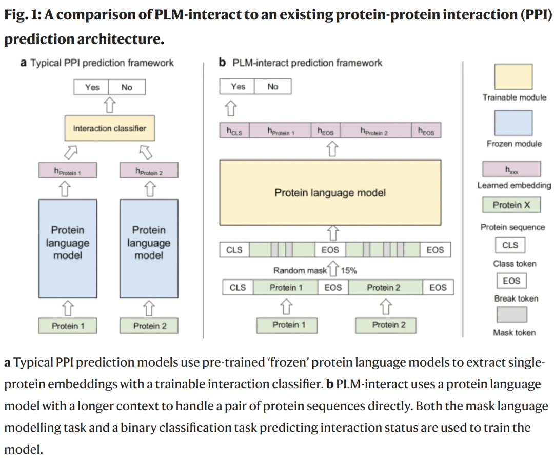 Nat. Commun. | 让蛋白语言模型学会预测蛋白质相互作用-腾讯云开发者社区-腾讯云