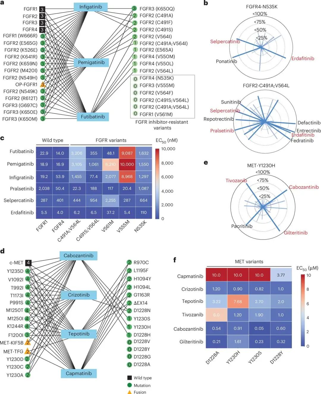FGFR 和 MET 突变中的治疗缺口与复用机会。图中展示了不同 FGFR 和 MET variants 对现有临床激酶抑制剂的差异性敏感性。