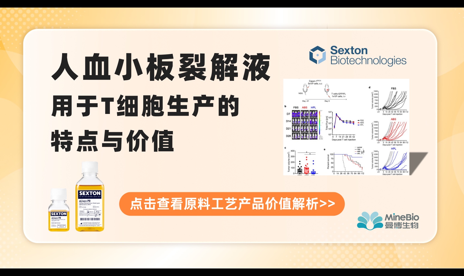 优秀的个人博客,低调大师