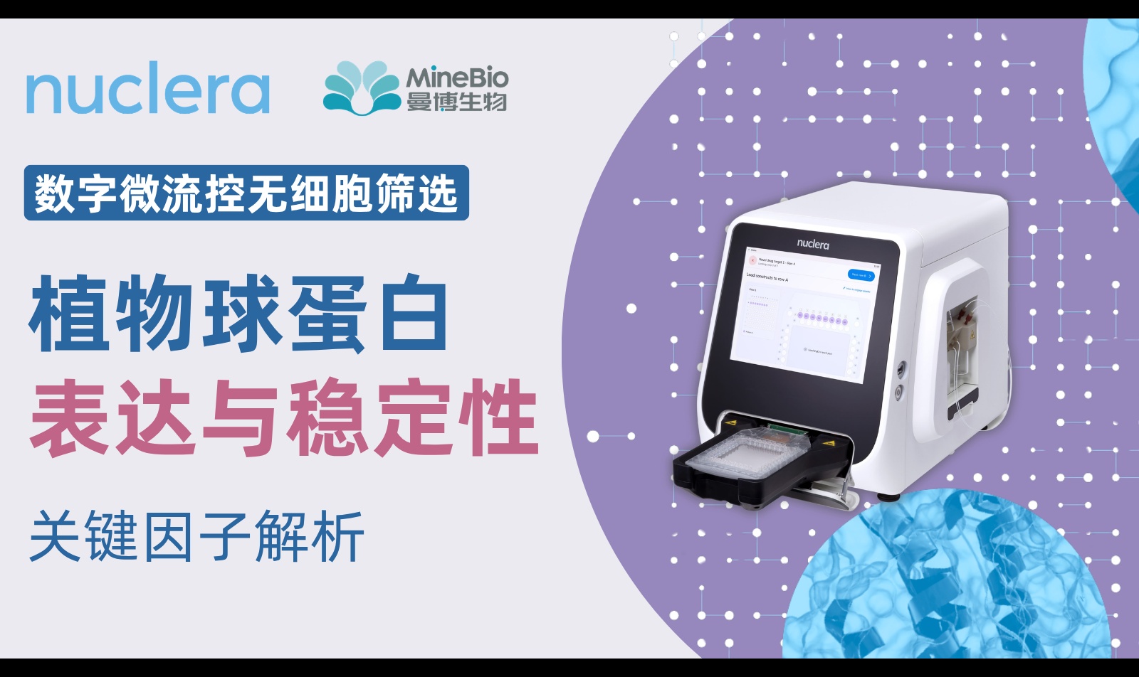 植物球蛋白表达为什么不稳定？数字微流控无细胞筛选解析半胱氨酸突变、氧化环境与标签适配规律