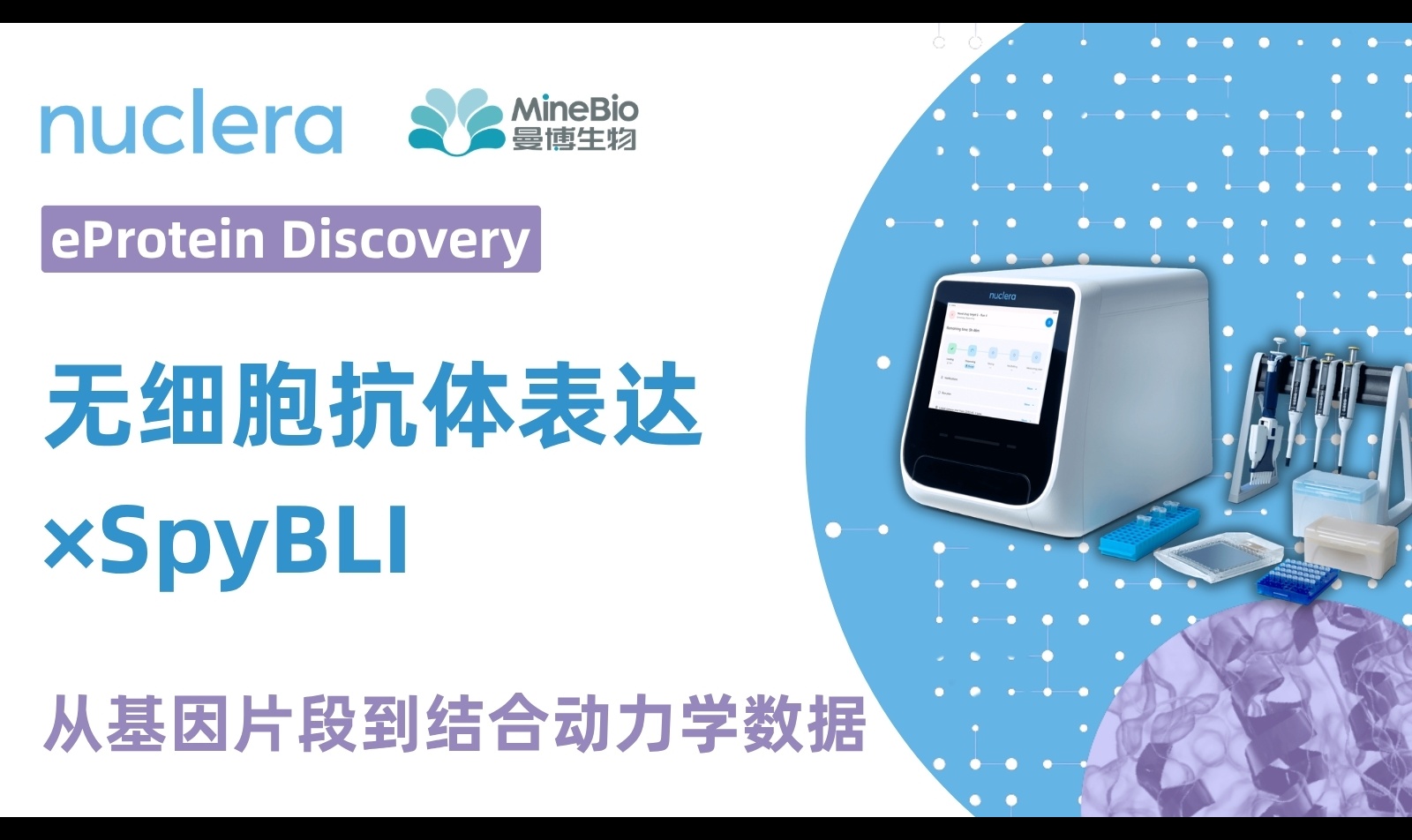 抗体结合动力学怎么从基因片段快速测到KD？SpyBLI与无细胞表达解析kon、koff和粗样品直接检测
