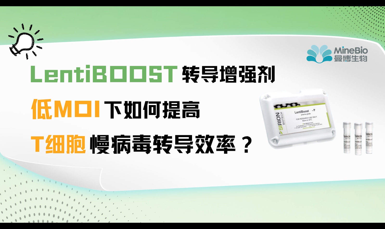 脐带血CD8+ T细胞转导效率怎么优化？过夜孵育、培养基与启动子实验数据解析