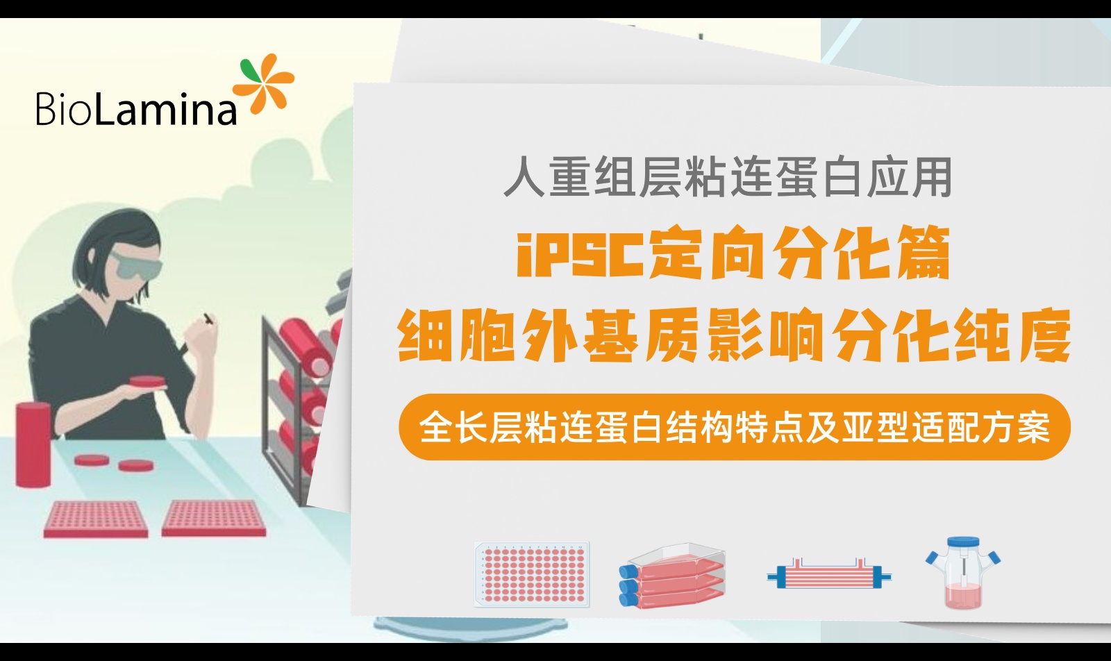 iPSC定向分化纯度为什么上不去？从Matrigel、RGD/E8到全长Laminin亚型与细胞极性解析