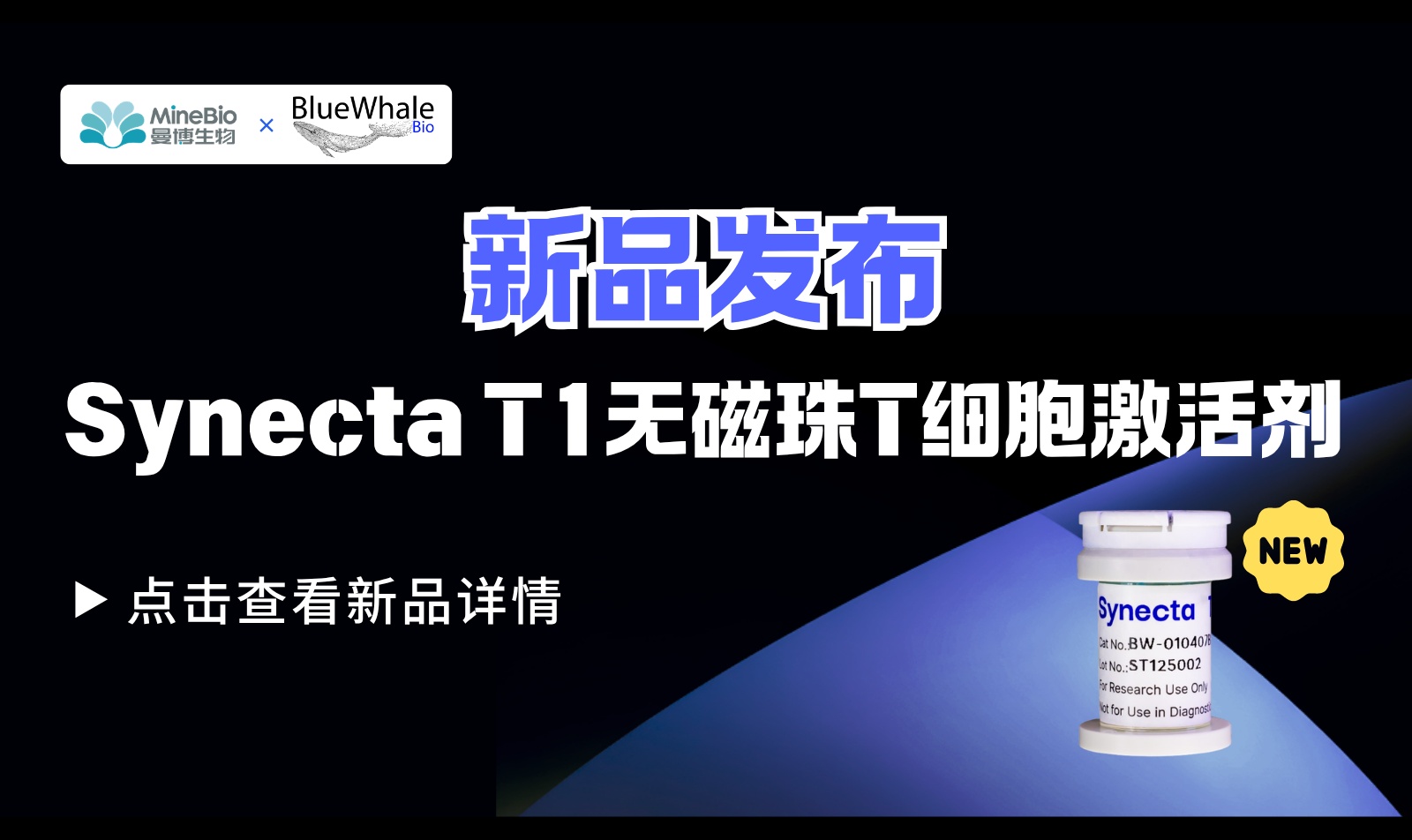 优秀的个人博客,低调大师