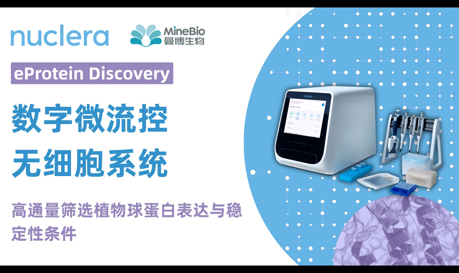 数字微流控CFPS筛选植物球蛋白表达与稳定性|无细胞蛋白合成