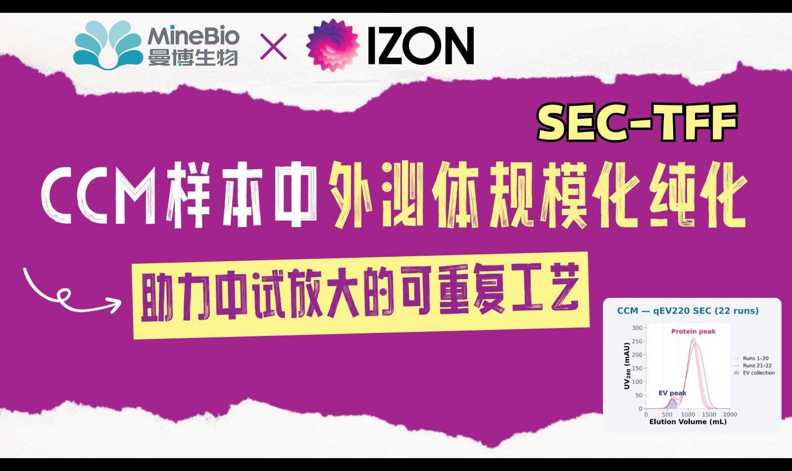 CCM外泌体中试纯化怎么做？SEC-TFF联用、qEV220放大与连续运行重复性解析|IZON