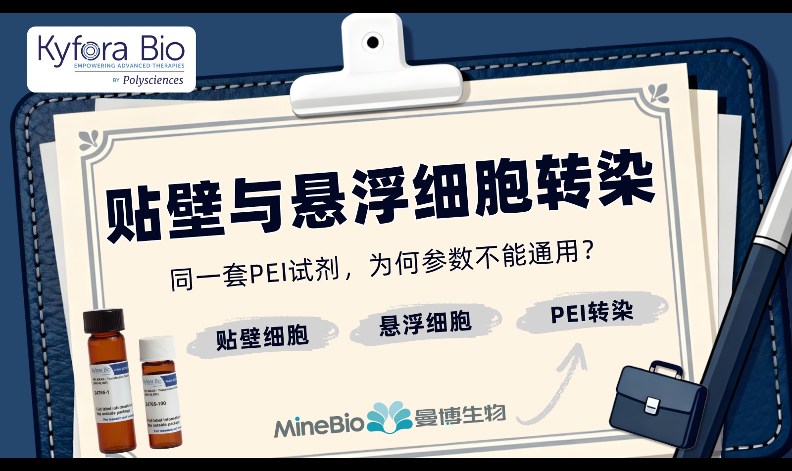 贴壁和悬浮细胞PEI转染参数为什么不能通用？|PEI转染试剂应用解答