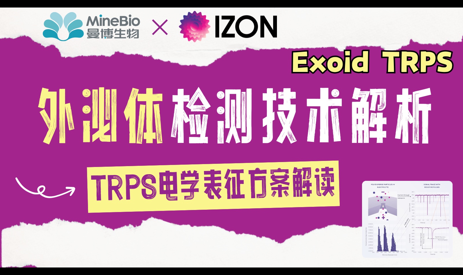 优秀的个人博客,低调大师