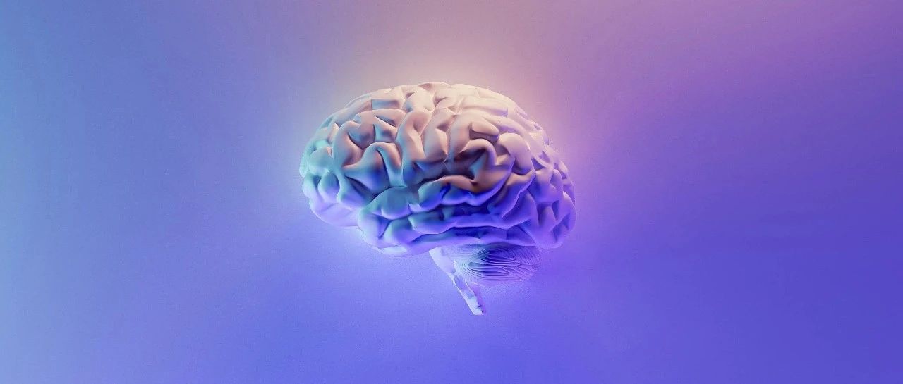 大语言模型生态系统：助你自由调教 AI 模型