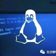每日一问题探索-高并发下的linux优化