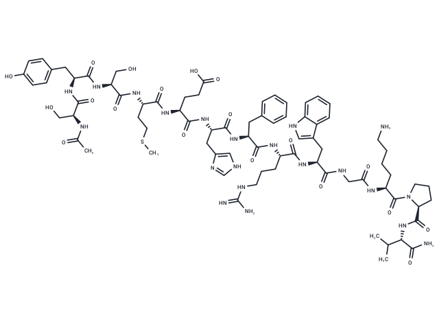 ■ 【TargetMol 明星分子】- α-MSH: 激活黑皮质素受体，调控黑色素生成与免疫炎症新机制