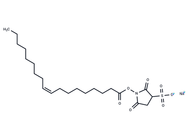 Sulfosuccinimidyl oleate sodium: 独特双重机制揭示脂肪酸转运与线粒体自噬新策略