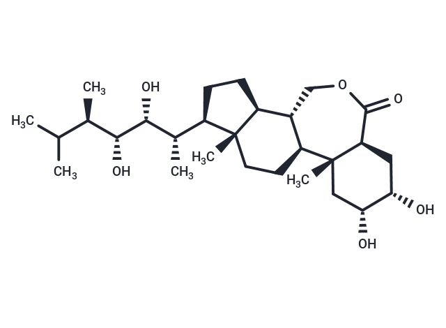 Epibrassinolide: 揭示细胞凋亡与植物逆境响应的多功能类固醇探针