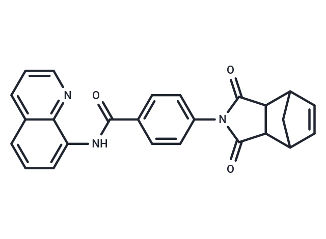 IWR-1: 稳定Axin复合体，精准调控Wnt/β-连环蛋白信号通路的化学探针