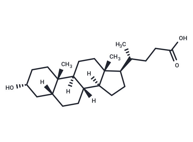 Lithocholic acid: 多靶点调控与肝胆疾病研究的关键分子