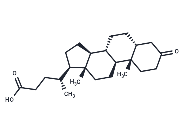 3-Oxo-5β-cholanoic acid: 通过直接调控RORγt揭示胆汁酸代谢与免疫调节的关键纽带