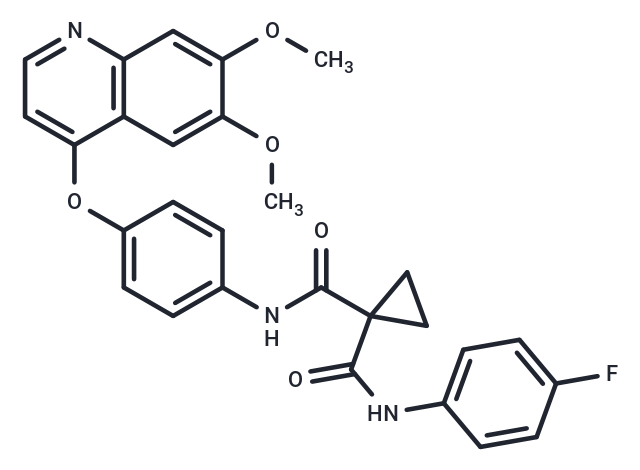Cabozantinib: 多靶点受体酪氨酸激酶抑制剂揭示肿瘤与血管生成协同调控机制