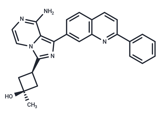 ■ 【TargetMol 明星分子】- Linsitinib: 精准阻断IGF-1R信号轴，揭示肿瘤增殖与病毒融合的新靶点