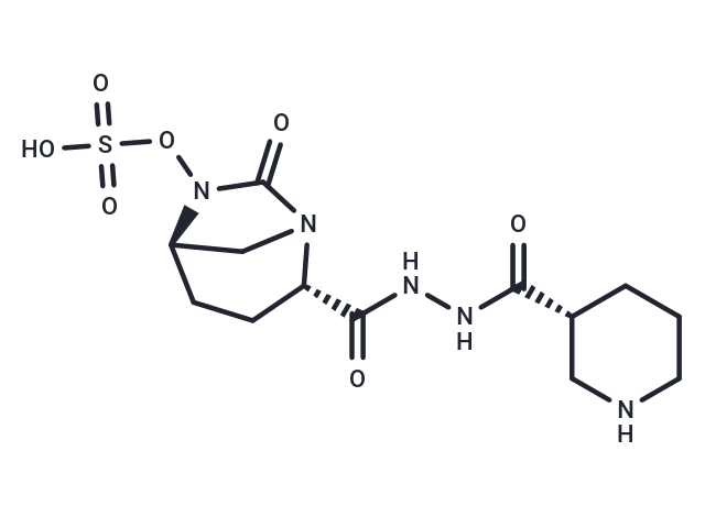 Zidebactam: 双重靶点作用，突破细菌耐药防线的关键利器