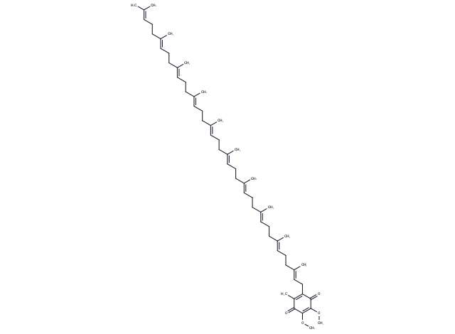 Coenzyme Q10: 探索线粒体电子传递与抗氧化防护的关键分子