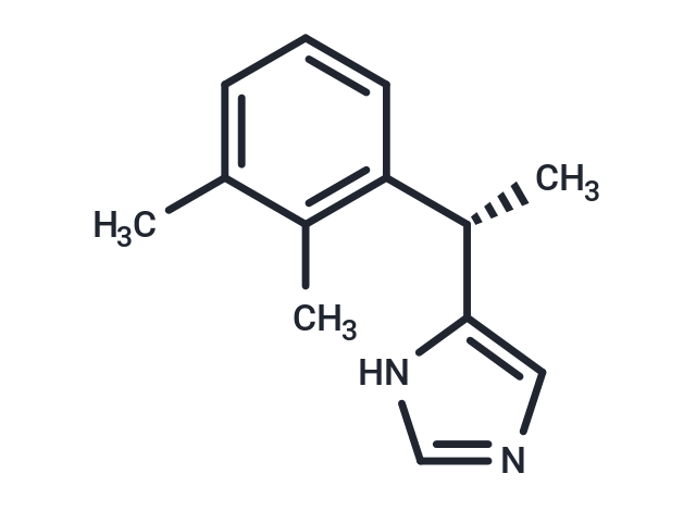 Dexmedetomidine: 通过调控α2肾上腺素能受体实现精准镇静与促进干细胞再生的多功能分子