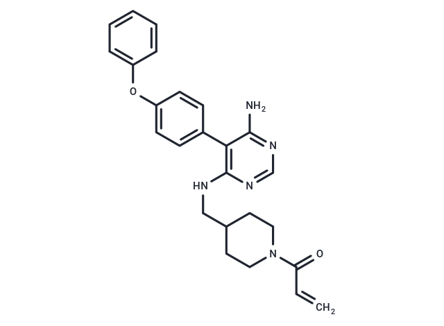 evobrutinib: 靶向BTK通路，精准调控免疫细胞功能的创新抑制剂