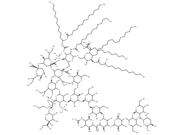  Lipopolysaccharides分子结构式