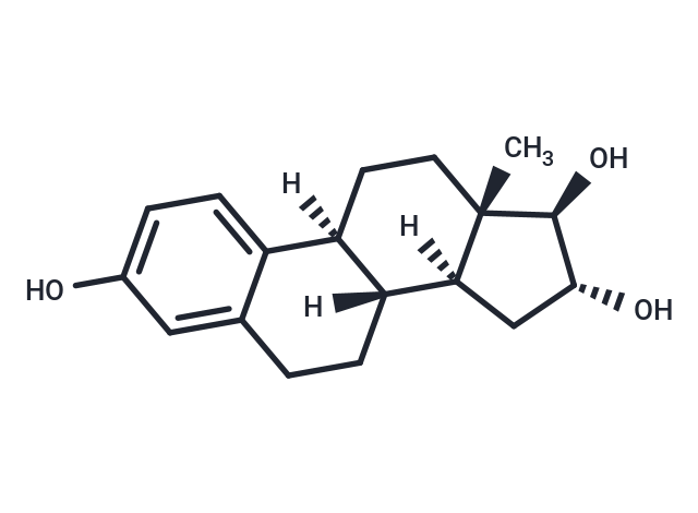 Estriol: 作为内源性弱雌激素调控妊娠与免疫反应的关键因子