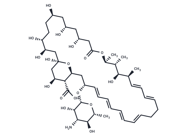 Nystatin: 靶向膜固醇，开启抗真菌与肾脏保护新篇章
