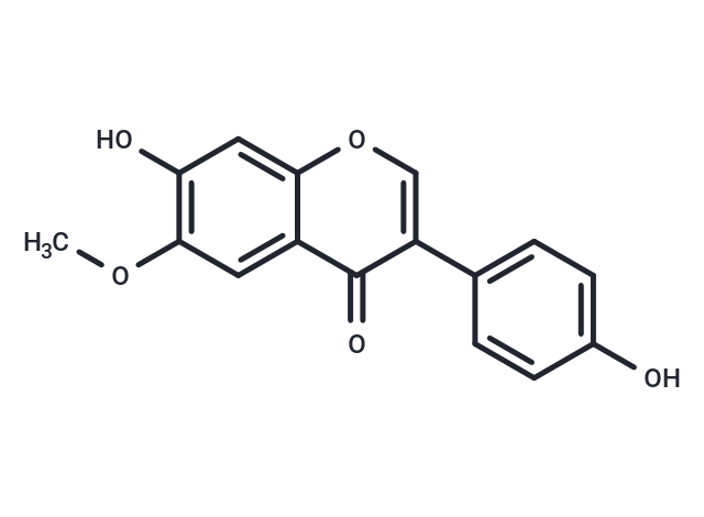 Glycitein: 探索雌激素信号与细胞凋亡自噬交互的关键调控因子