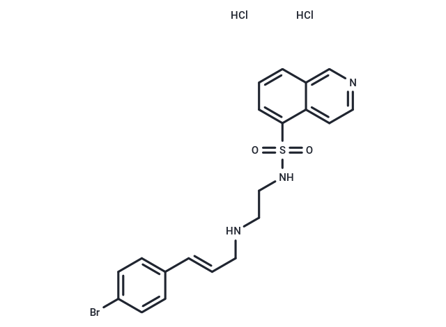 H-89 dihydrochloride: 精准抑制PKA与S6K1，揭示自噬与铁死亡调控新机制
