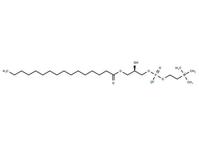 ■ 【TargetMol 明星分子】- 1-Palmitoyl-sn-glycero-3-phosphocholine: 膜脂代谢与炎症信号交汇的关键调控因子