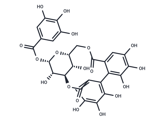 Corilagin: 多靶点调控TLR2炎症与纤维化，助力抗病毒与抗肿瘤研究