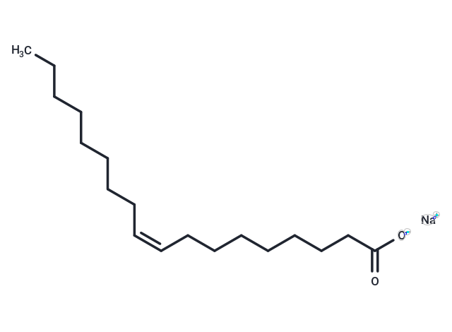 Sodium oleate: 激活Na+/K+ ATP酶调控脂质代谢与细胞命运的关键脂肪酸盐