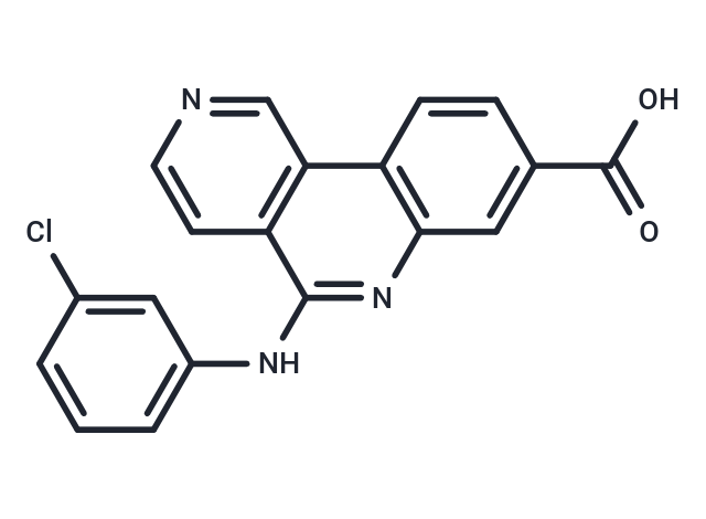 Silmitasertib: 靶向CK2激酶调控自噬与癌症信号通路的高效小分子抑制剂