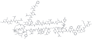  Insulin（human）分子结构式
